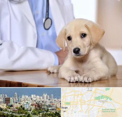 بیمارستان دامپزشکی در شرق تهران 