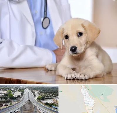 بیمارستان دامپزشکی در اندیمشک