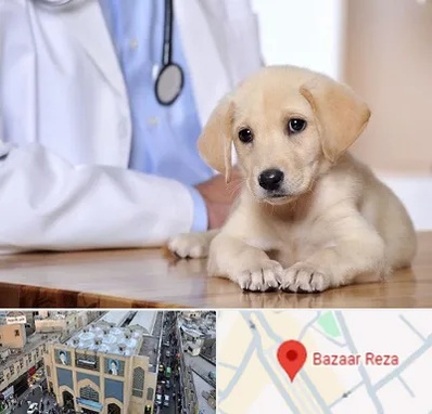 بیمارستان دامپزشکی در بازار رضا مشهد