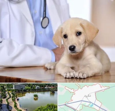 بیمارستان دامپزشکی در لنگرود