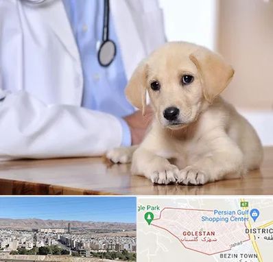 بیمارستان دامپزشکی در شهرک گلستان شیراز