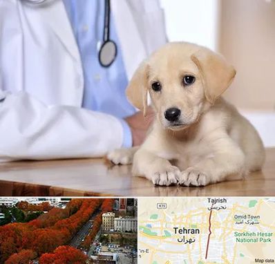 بیمارستان دامپزشکی در ولیعصر
