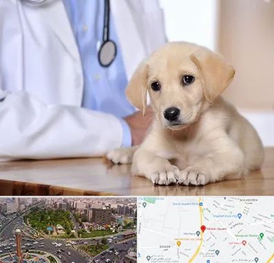 بیمارستان دامپزشکی در سبلان