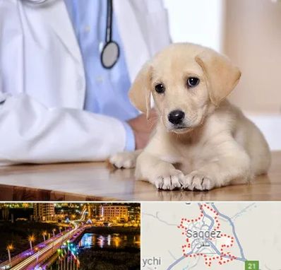 بیمارستان دامپزشکی در سقز