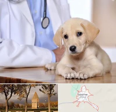 بیمارستان دامپزشکی در تویسرکان