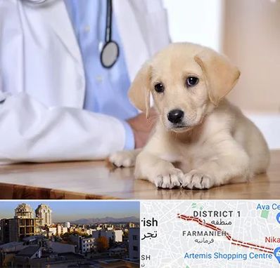 بیمارستان دامپزشکی در فرمانیه