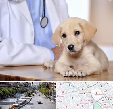 بیمارستان دامپزشکی در خیابان زند شیراز