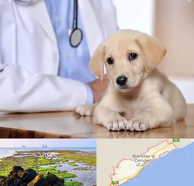 بیمارستان دامپزشکی در بندرلنگه