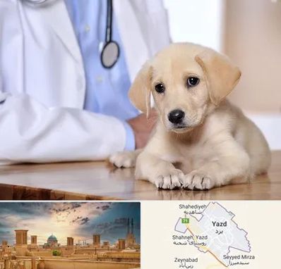 بیمارستان دامپزشکی در یزد