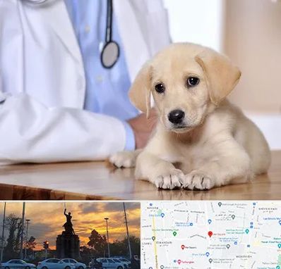 بیمارستان دامپزشکی در میدان حر