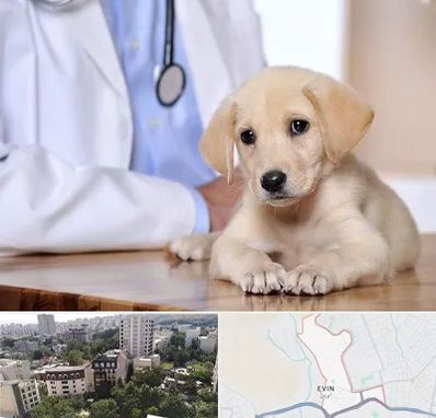بیمارستان دامپزشکی در اوین