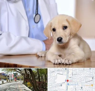 بیمارستان دامپزشکی در خیابان توحید اصفهان