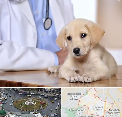 بیمارستان دامپزشکی در فردیس کرج