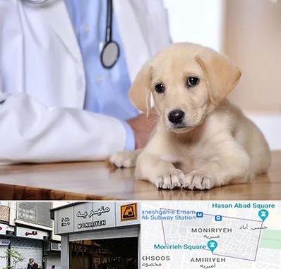 بیمارستان دامپزشکی در منیریه
