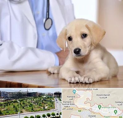 بیمارستان دامپزشکی در پردیس