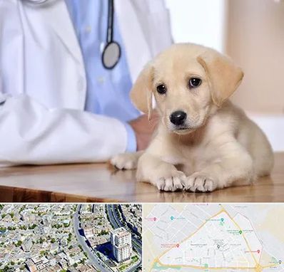 بیمارستان دامپزشکی در قاسم آباد مشهد