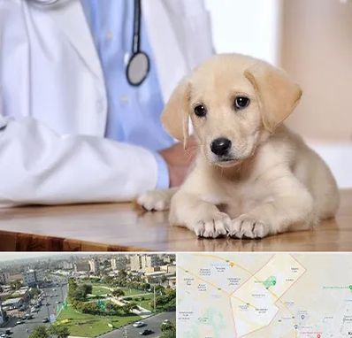 بیمارستان دامپزشکی در کمال شهر کرج