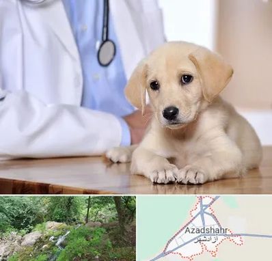 بیمارستان دامپزشکی در آزادشهر