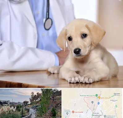 بیمارستان دامپزشکی در باغستان کرج