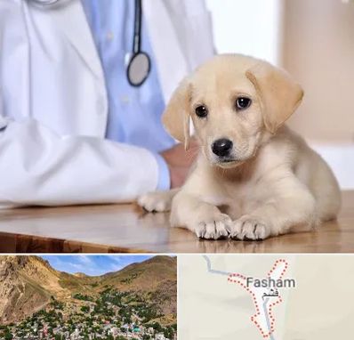 بیمارستان دامپزشکی در فشم