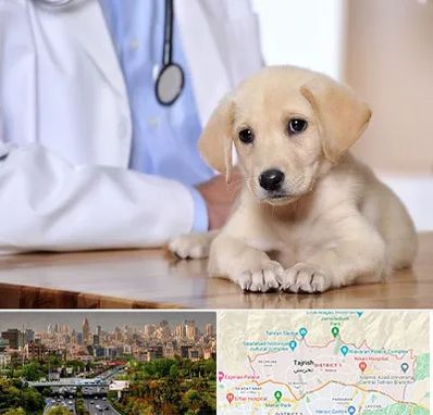 بیمارستان دامپزشکی در منطقه 1 تهران