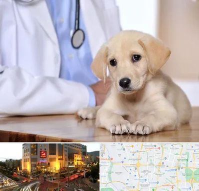 بیمارستان دامپزشکی در جنت آباد تهران 