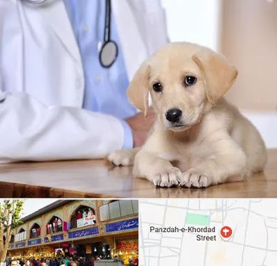 بیمارستان دامپزشکی در 15 خرداد