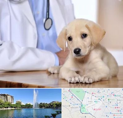 بیمارستان دامپزشکی در کوهسنگی مشهد