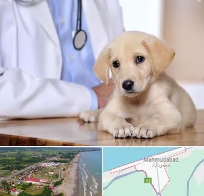 بیمارستان دامپزشکی در محمودآباد
