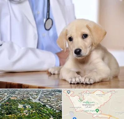 بیمارستان دامپزشکی در شهرکرد