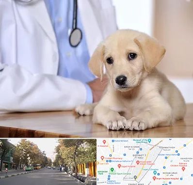 بیمارستان دامپزشکی در شریعتی