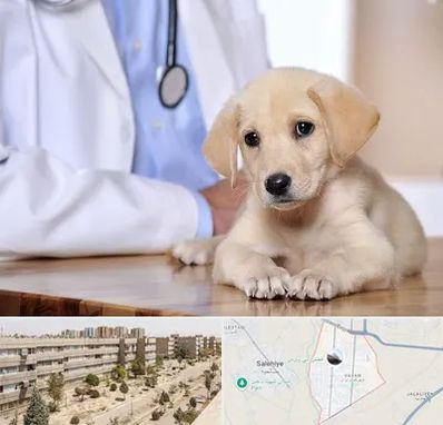 بیمارستان دامپزشکی در واوان اسلامشهر