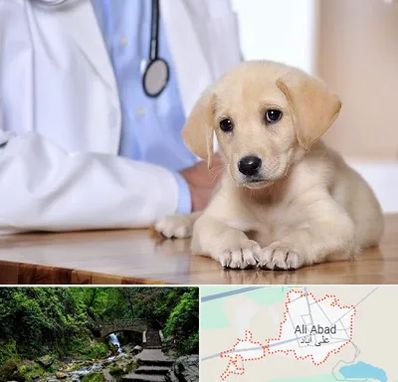 بیمارستان دامپزشکی در علی آباد کتول