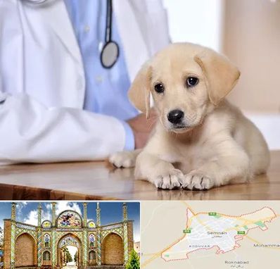 بیمارستان دامپزشکی در سمنان