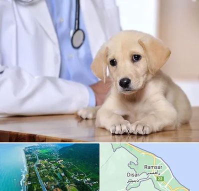 بیمارستان دامپزشکی در رامسر