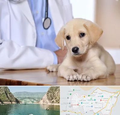 بیمارستان دامپزشکی در ایلام