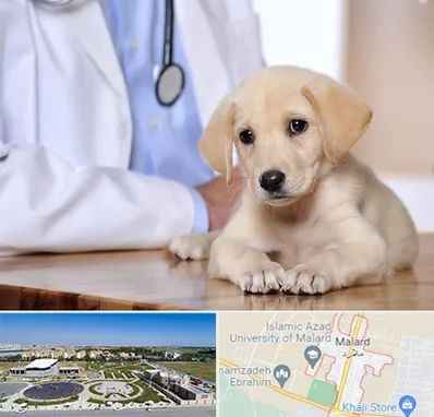 بیمارستان دامپزشکی در ملارد