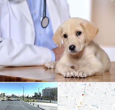 بیمارستان دامپزشکی در بلوار کلاهدوز مشهد