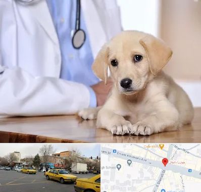 بیمارستان دامپزشکی در شهناز تبریز