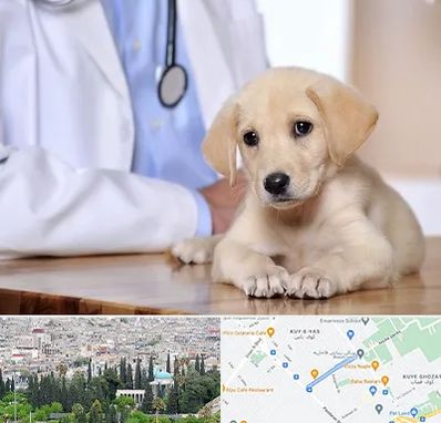 بیمارستان دامپزشکی در محلاتی شیراز