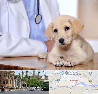 بیمارستان دامپزشکی در پاکدشت