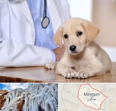 بیمارستان دامپزشکی در میگون