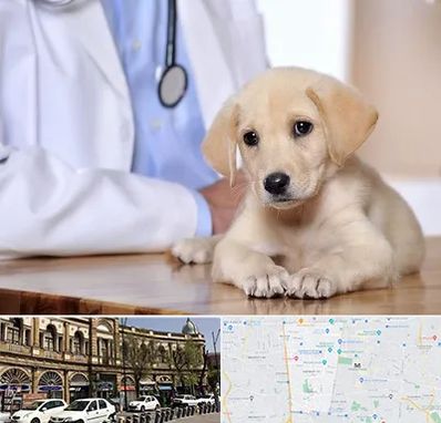 بیمارستان دامپزشکی در منطقه 11 تهران