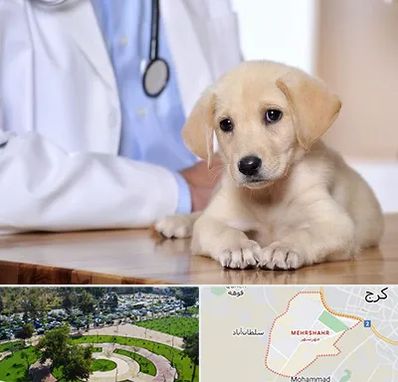 بیمارستان دامپزشکی در مهرشهر کرج