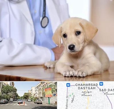 بیمارستان دامپزشکی در چهارصد دستگاه