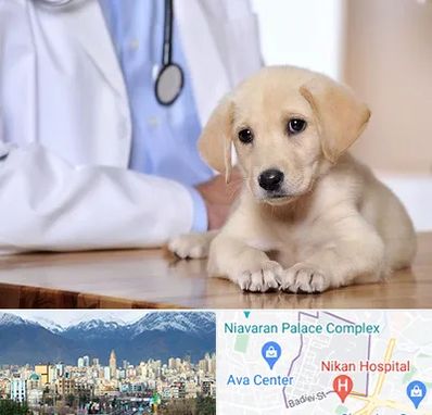 بیمارستان دامپزشکی در آجودانیه