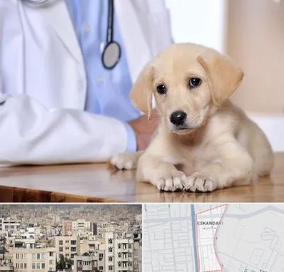 بیمارستان دامپزشکی در اسکندری