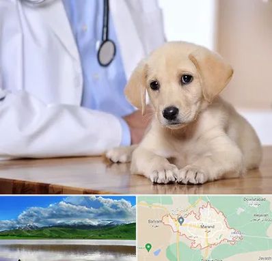 بیمارستان دامپزشکی در مرند