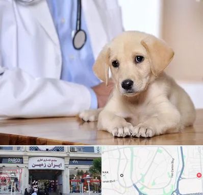 بیمارستان دامپزشکی در ایران زمین