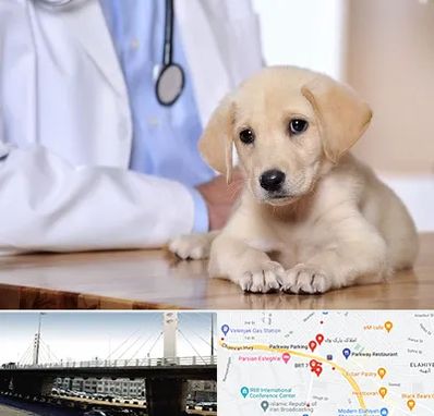 بیمارستان دامپزشکی در پارک وی